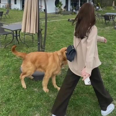 关键先生